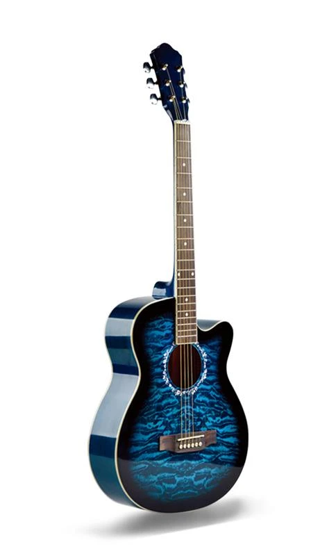Linden High-gloss Colored Student Acoustic Guitar