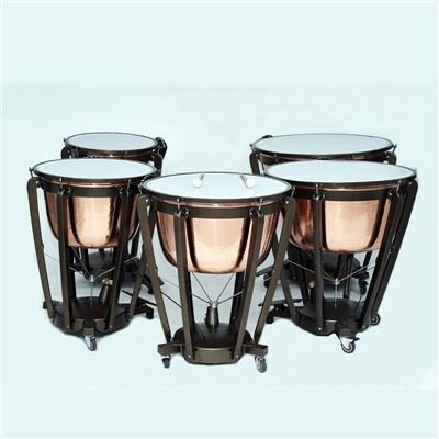 Timpani druma